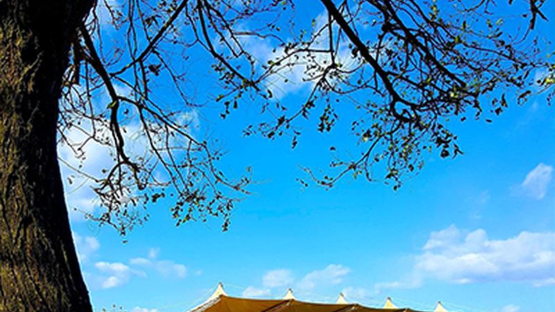 S8050與SS8050：揭秘兩款常見(jiàn)晶體管的差異
