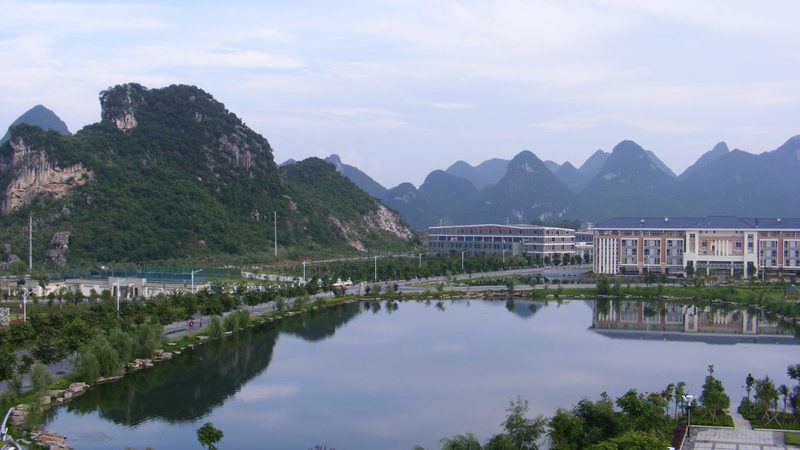PCBA貼片加工：揭秘代工廠家排名背后的秘密